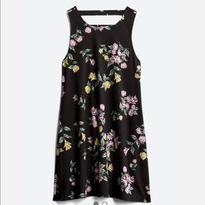 Privett Back Detail Knit Dress